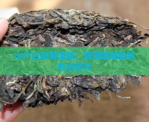 小户古树普洱茶：普洱地域独特特点探究