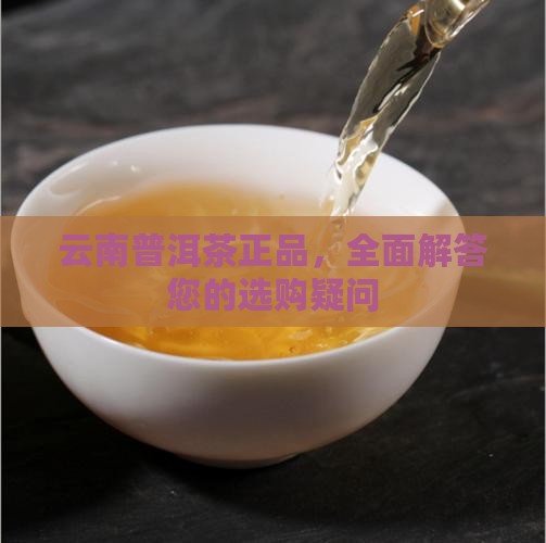 云南普洱茶正品，全面解答您的选购疑问