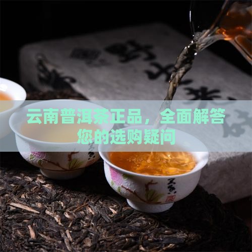 云南普洱茶正品，全面解答您的选购疑问