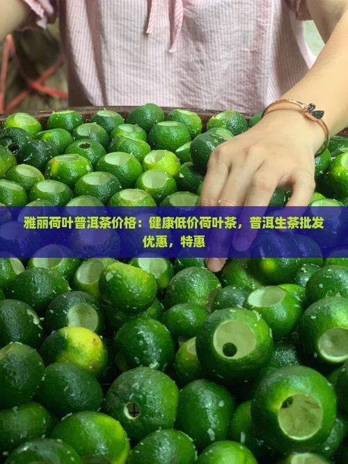雅丽荷叶普洱茶价格：健康低价荷叶茶，普洱生茶批发优惠，特惠