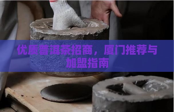 优质普洱茶招商，厦门推荐与加盟指南