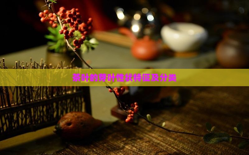 茶叶的芽叶性状特征及分类