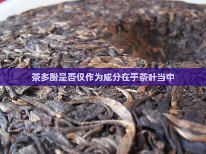 茶多酚是否仅作为成分在于茶叶当中