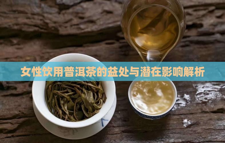 女性饮用普洱茶的益处与潜在影响解析