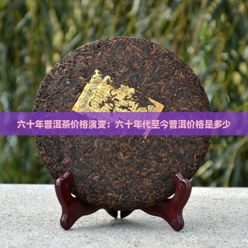 六十年普洱茶价格演变：六十年代至今普洱价格是多少