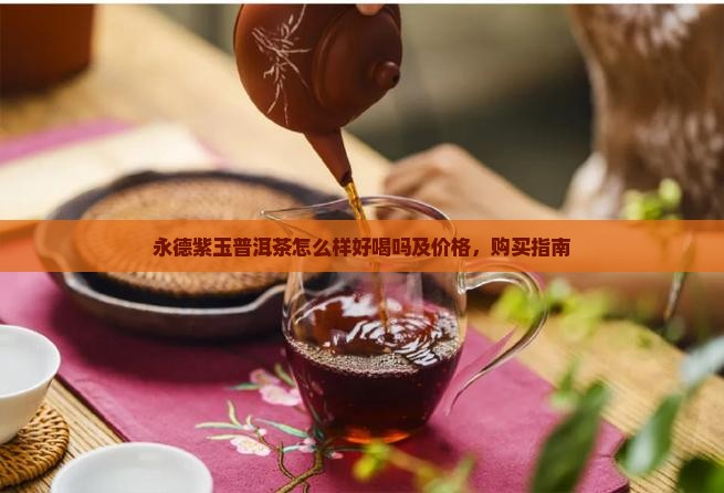 永德紫玉普洱茶怎么样好喝吗及价格，购买指南