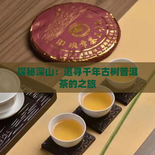 探秘深山：追寻千年古树普洱茶的之旅