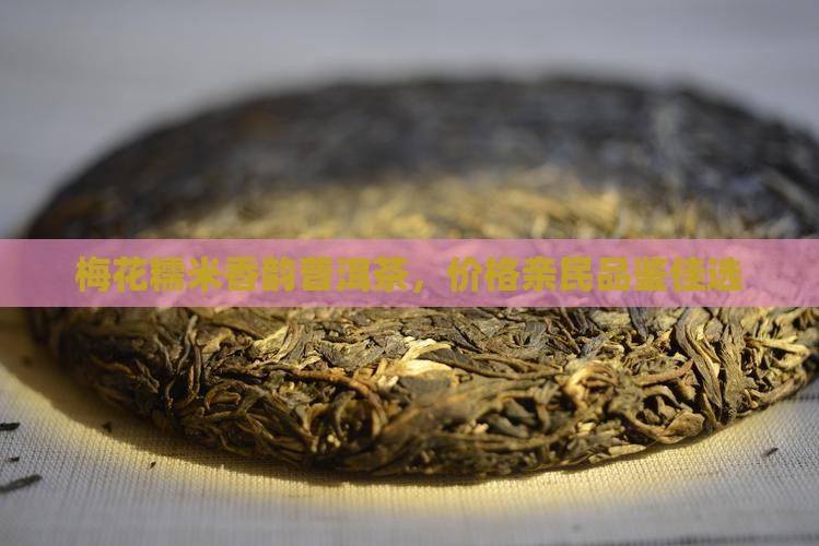 梅花糯米香韵普洱茶，价格亲民品鉴佳选