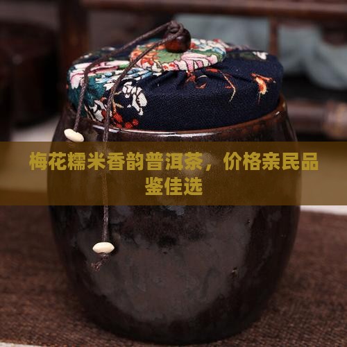 梅花糯米香韵普洱茶，价格亲民品鉴佳选