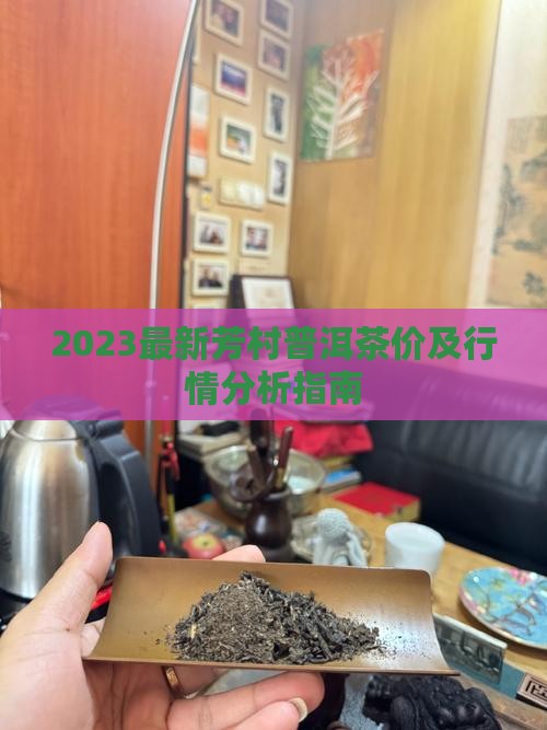 2023最新芳村普洱茶价及行情分析指南