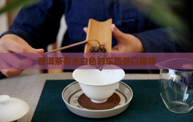 普洱茶有点白色的东西是白霜吗