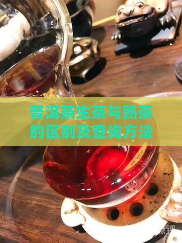 普洱茶生茶与熟茶的区别及查询方法