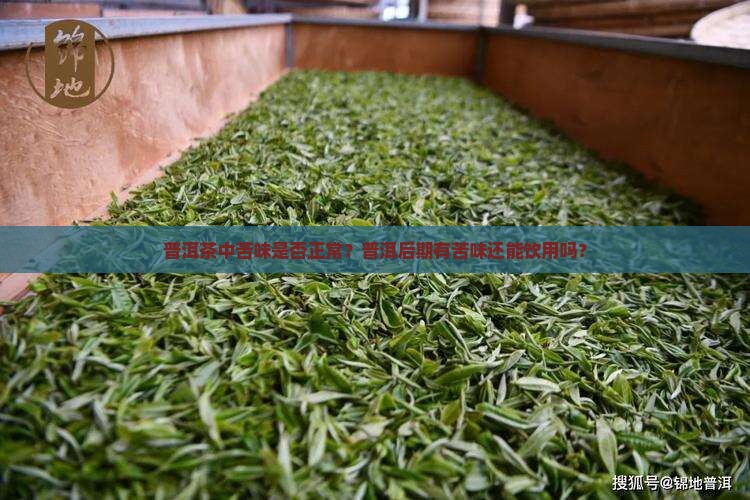 普洱茶中苦味是否正常？普洱后期有苦味还能饮用吗？