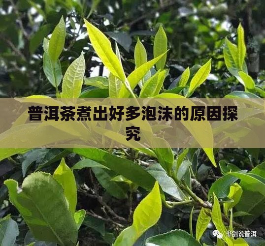 普洱茶煮出好多泡沫的原因探究 普洱茶煮出好多泡沫的原因探究