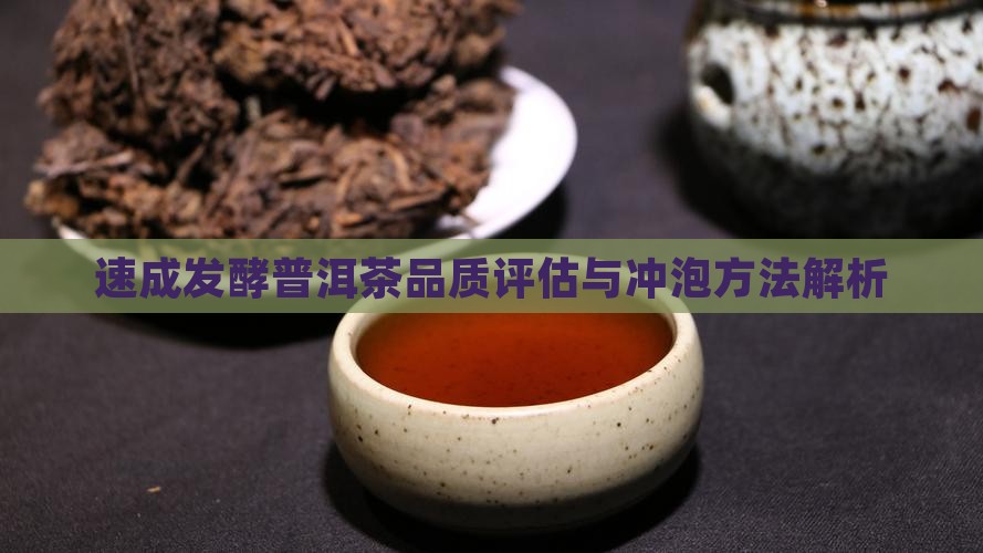 速成发酵普洱茶品质评估与冲泡方法解析