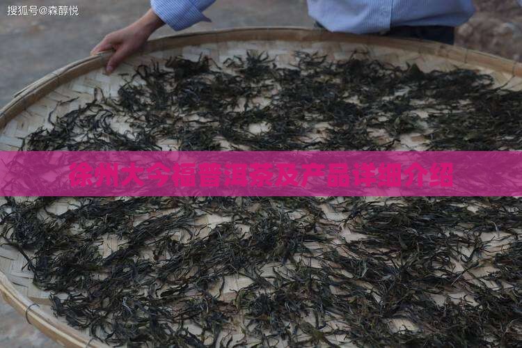 徐州大今福普洱茶及产品详细介绍