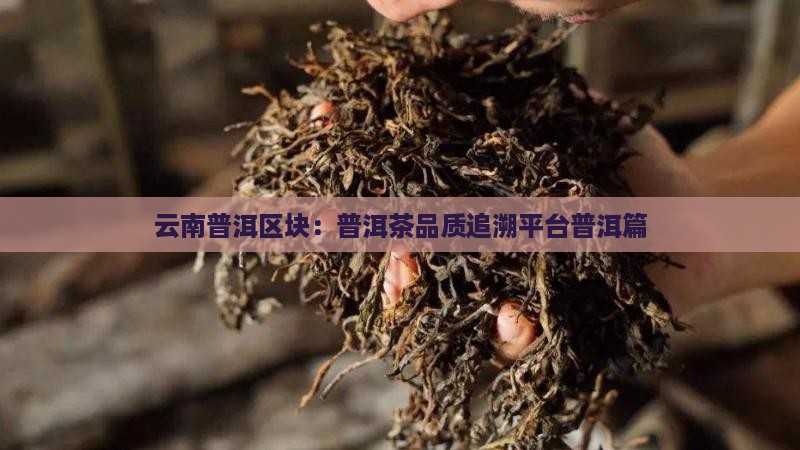 云南普洱区块：普洱茶品质追溯平台普洱篇