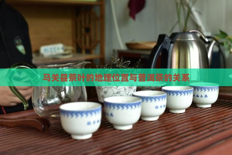 马关县茶叶的地理位置与普洱茶的关系