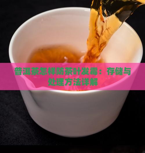 普洱茶怎样防茶叶发霉：存储与处理方法详解