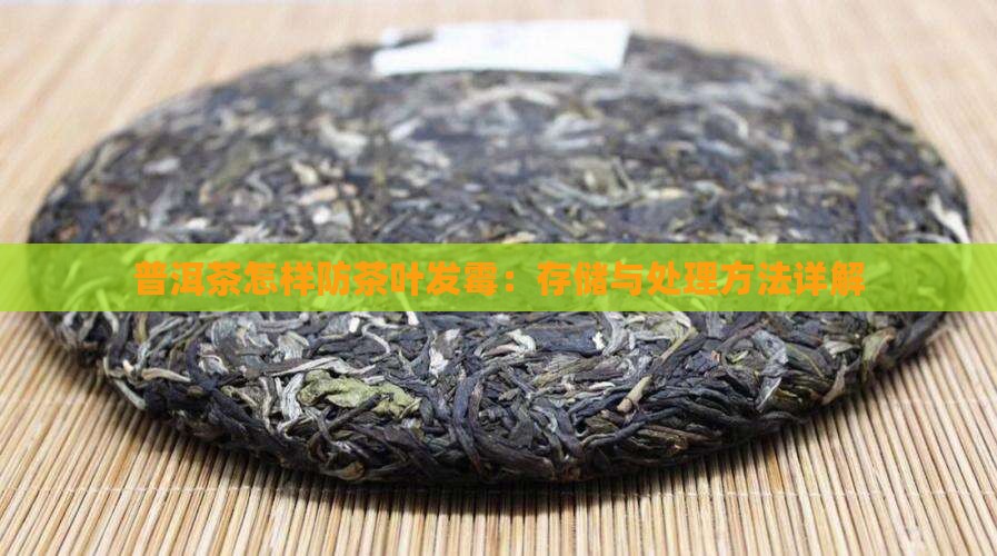 普洱茶怎样防茶叶发霉：存储与处理方法详解