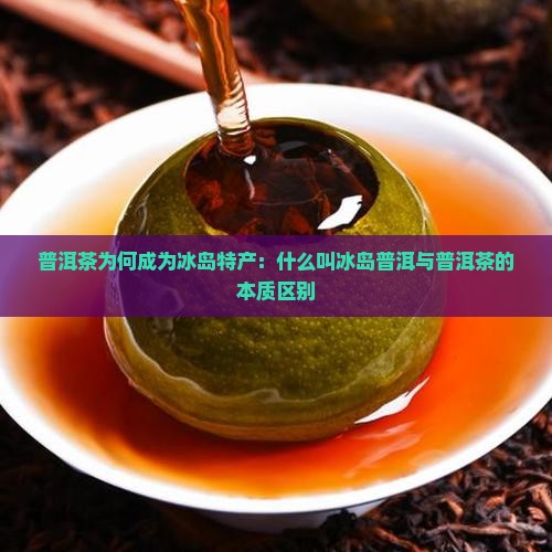 普洱茶为何成为冰岛特产：什么叫冰岛普洱与普洱茶的本质区别