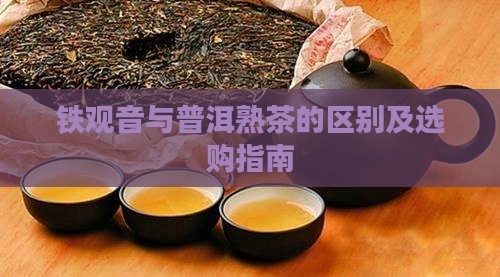 铁观音与普洱熟茶的区别及选购指南