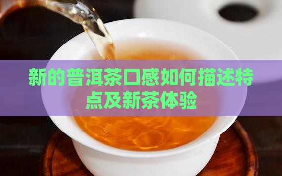 新的普洱茶口感如何描述特点及新茶体验