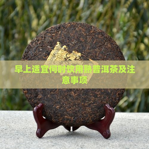 早上适宜何时饮用熟普洱茶及注意事项