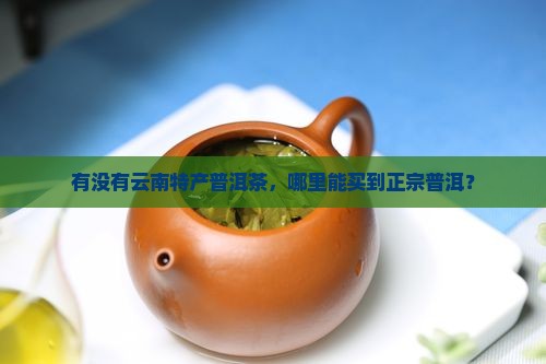 有没有云南特产普洱茶，哪里能买到正宗普洱？