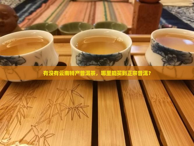 有没有云南特产普洱茶，哪里能买到正宗普洱？