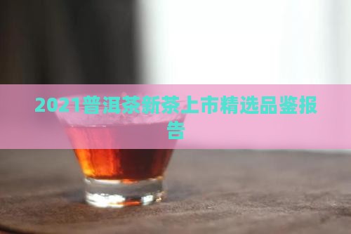 2021普洱茶新茶上市精选品鉴报告
