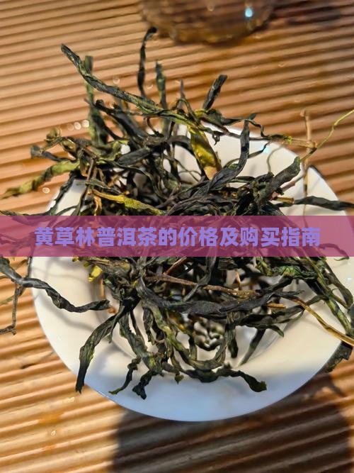 黄草林普洱茶的价格及购买指南