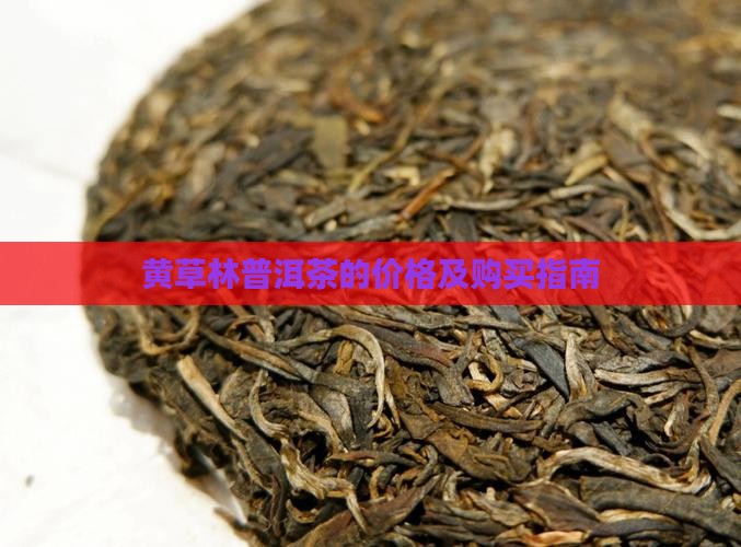 黄草林普洱茶的价格及购买指南