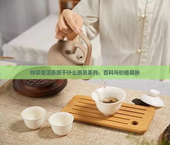 特级普洱茶属于什么茶及系列、百科与价格解析