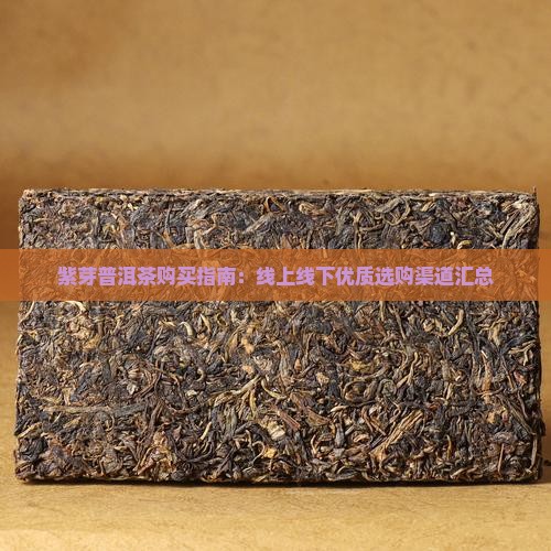 紫芽普洱茶购买指南：线上线下优质选购渠道汇总