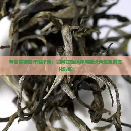 普洱茶存放年限指南：如何正确保存与延长普洱茶的陈化时间