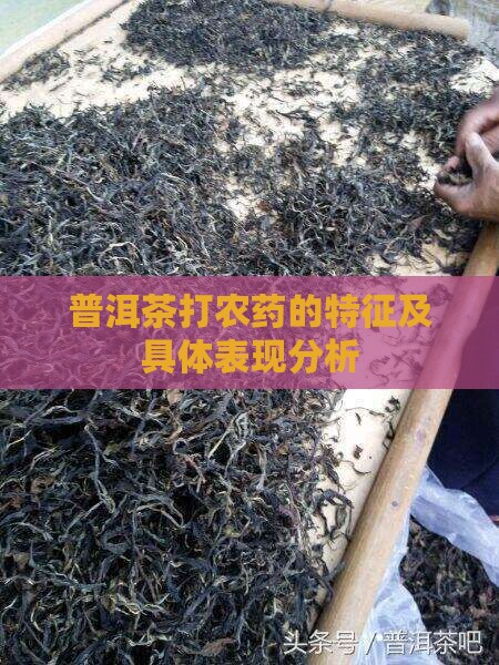 普洱茶打农药的特征及具体表现分析