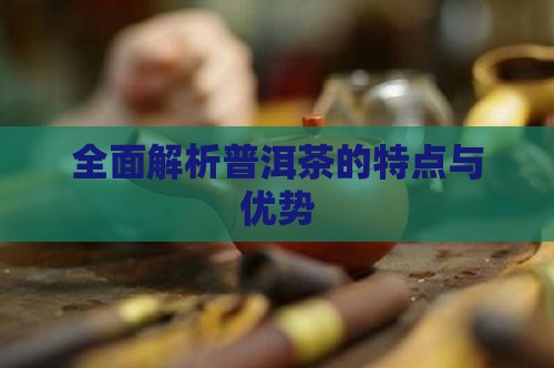 全面解析普洱茶的特点与优势