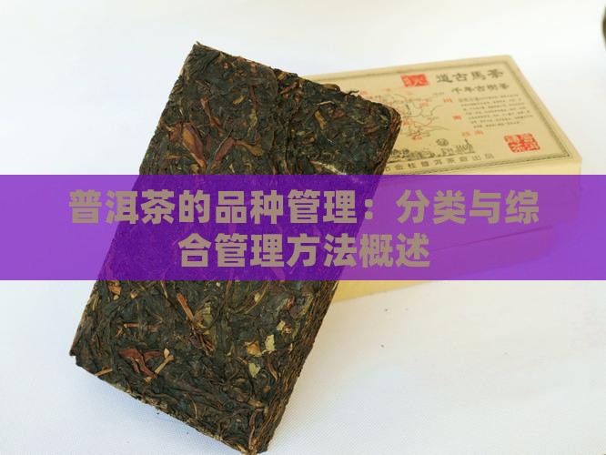 普洱茶的品种管理：分类与综合管理方法概述