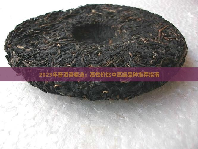 2023年普洱茶精选：高性价比中高端品种推荐指南