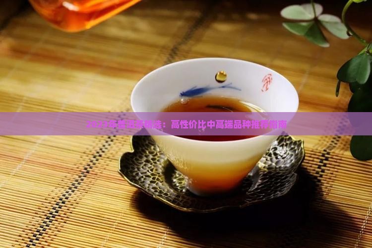 2023年普洱茶精选：高性价比中高端品种推荐指南