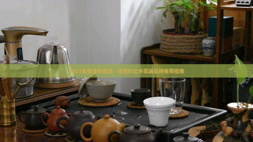 2023年普洱茶精选：高性价比中高端品种推荐指南