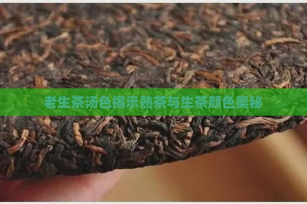 老生茶汤色揭示熟茶与生茶颜色奥秘