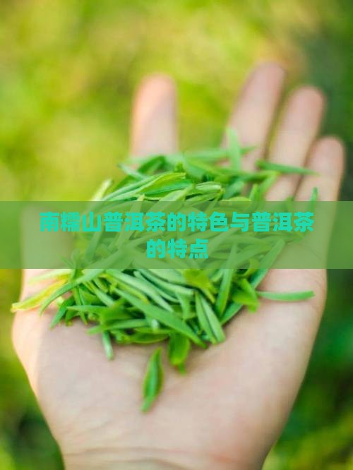 南糯山普洱茶的特色与普洱茶的特点