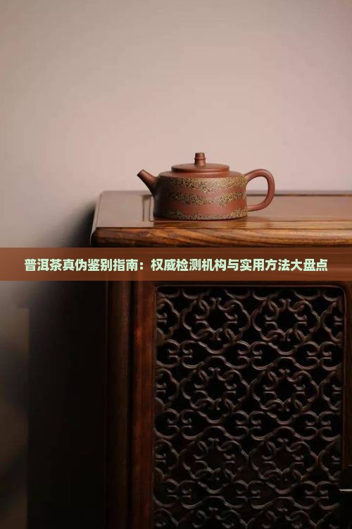 普洱茶真伪鉴别指南：权威检测机构与实用方法大盘点
