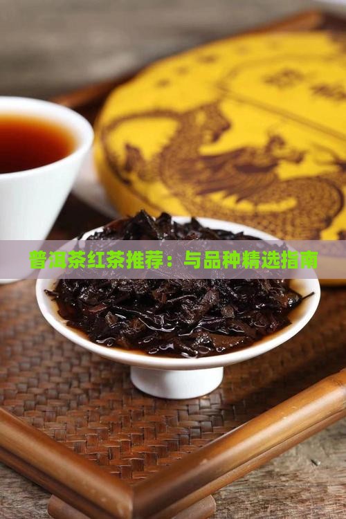 普洱茶红茶推荐：与品种精选指南