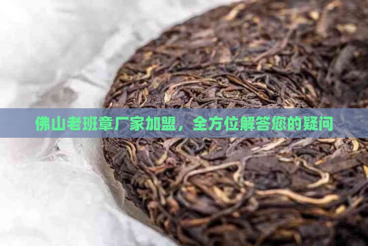 佛山老班章厂家加盟，全方位解答您的疑问