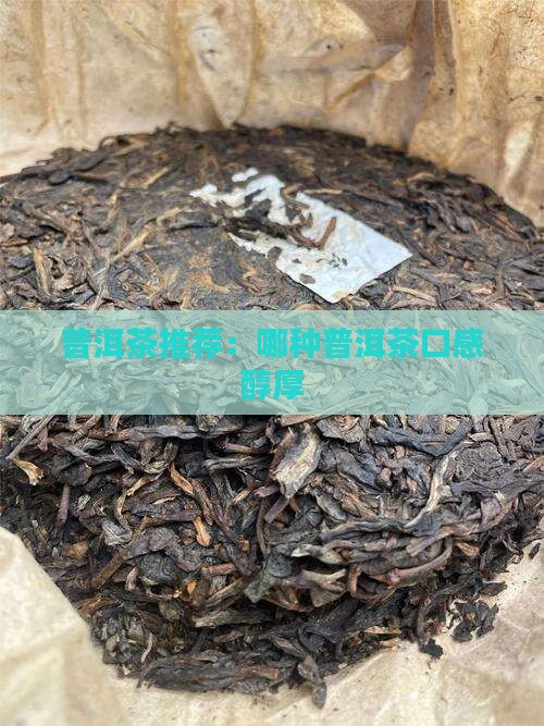 普洱茶推荐：哪种普洱茶口感醇厚