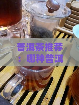 普洱茶推荐：哪种普洱茶口感醇厚