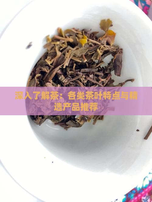 深入了解茶：各类茶叶特点与精选产品推荐